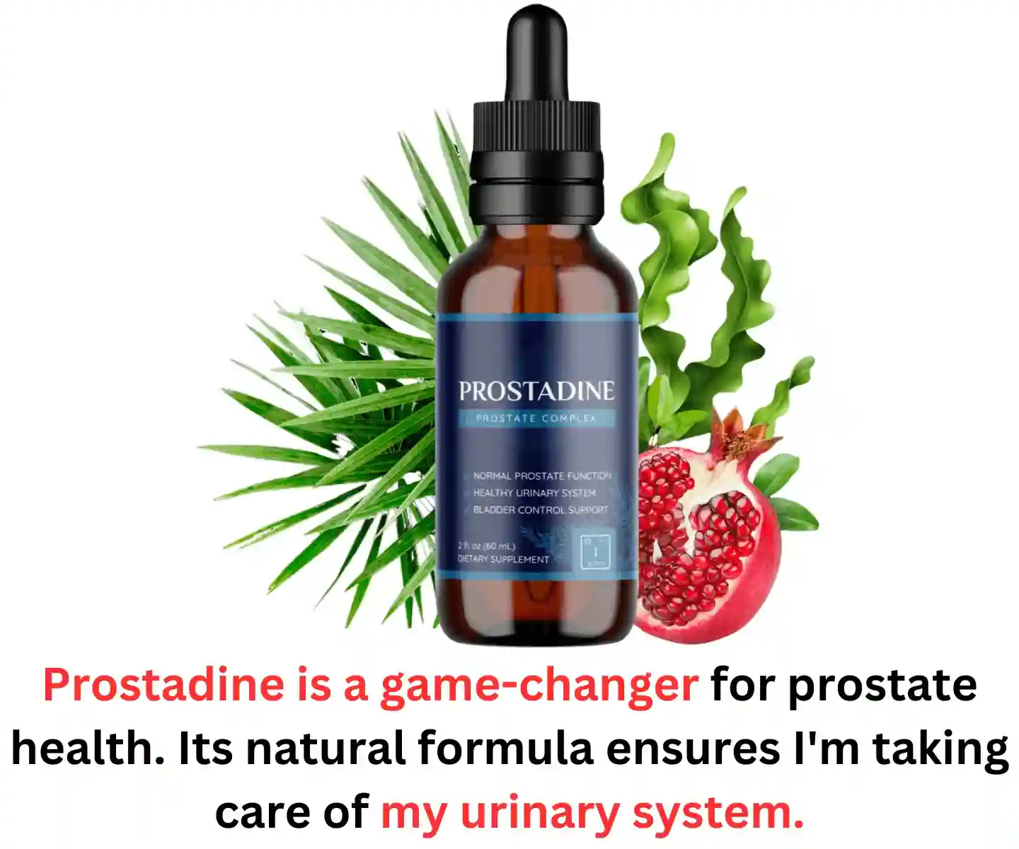 Prostadine liquid drops for prostate and urinary support